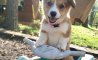 Fun Pic - Donnerstags Fun PicDump #148 - 165