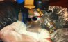 Fun Pic - Donnerstags Fun PicDump #148 - 37