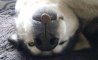 Fun Pic - Donnerstags Fun PicDump #148 - 93