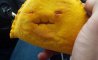 Fun Pic - Donnerstags Fun PicDump #149 - 54
