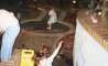 Fun Pic - Donnerstags Fun PicDump #152 - 157