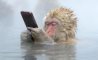Fun Pic - Donnerstags Fun PicDump #157 - 50