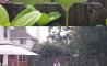 Fun Pic - Donnerstags Fun PicDump #159 - 140