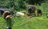 Fun Pic - Donnerstags Fun PicDump #159 - 48