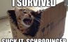 Fun Pic - Donnerstags Fun PicDump #160 - 16