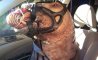 Fun Pic - Donnerstags Fun PicDump #160 - 52
