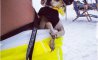 Fun Pic - Donnerstags Fun PicDump #160 - 64