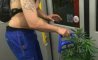 Fun Pic - Donnerstags Fun PicDump #160 - 80