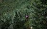 Fun Pic - Donnerstags Fun PicDump #161 - 105