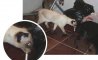 Fun Pic - Donnerstags Fun PicDump #161 - 77