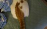 Fun Pic - Donnerstags Fun PicDump #162 - 75