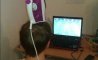 Fun Pic - Donnerstags Fun PicDump #164 - 112