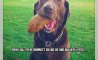 Fun Pic - Donnerstags Fun PicDump #166 - 105
