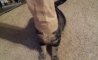 Fun Pic - Donnerstags Fun PicDump #166 - 145