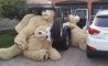 Fun Pic - Donnerstags Fun PicDump #166 - 149