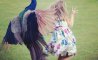 Fun Pic - Donnerstags Fun PicDump #166 - 33