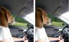 Fun Pic - Donnerstags Fun PicDump #166 - 41