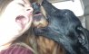 Fun Pic - Donnerstags Fun PicDump #166 - 53