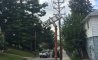 Fun Pic - Donnerstags Fun PicDump #166 - 93