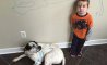 Fun Pic - Donnerstags Fun PicDump #176 - 63