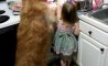 Fun Pic - Donnerstags Fun PicDump #182 - 105