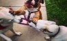 Fun Pic - Donnerstags Fun PicDump #182 - 129