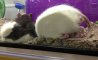Fun Pic - Donnerstags Fun PicDump #182 - 153