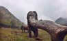 Fun Pic - Donnerstags Fun PicDump #182 - 42