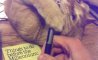 Fun Pic - Donnerstags Fun PicDump #182 - 97