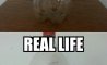 Fun Pic - Donnerstag Fun PicDump #184 - 61