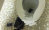 Fun Pic - Donnerstag Fun PicDump #225 - 24