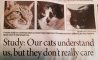 Fun Pic - Donnerstag Fun PicDump #225 - 32