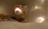 Fun Pic - test - 21