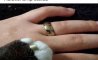 Fun Pic - Donnerstag Fun PicDump #245 - 61