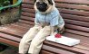 Fun Pic - Donn... Freitag Fun PicDump #271 - 14