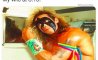 Fun Pic - Donnerstag Fun PicDump #305 - 78