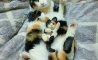Fun Pic - Donnerstag Fun PicDump #325 - 97