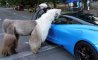 Fun Pic - Donnerstag Fun PicDump #346 - 50