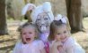 Fun Pic - Donnerstag Fun PicDump #363 - 67