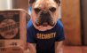 Fun Pic - Donnerstag Fun PicDump #363 - 87