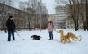 Fun Pic - Donnerstag Fun PicDump #464 - 131