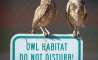Fun Pic - Donnerstag Fun PicDump #533 - 101
