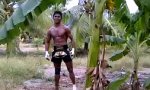 Lustiges Video : Kickbox Baumfäller