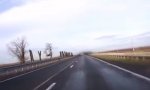 Funny Video - Gegen-Schwarm