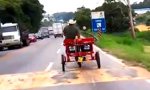 Lustiges Video - Motorisiertes Pferd