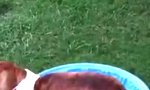 Funny Video : Der neue Indoor-Pool?