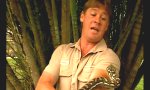 Movie : Nur ein Kratzer