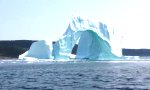 Lustiges Video : Fahr nie zu dicht an einen Eisberg