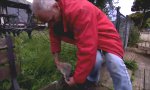 Funny Video - Undank ist der Welt Lohn