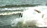 Funny Video : Wakeskating